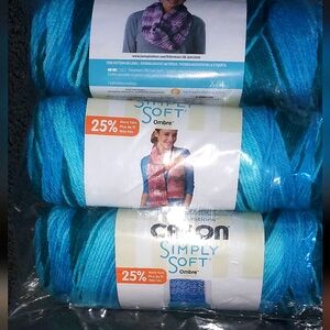 Caron Simply Soft  Teal Zeal Ombre